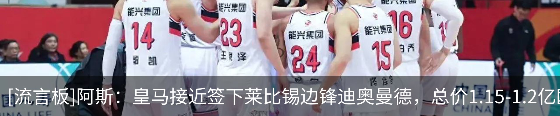 新闻动态